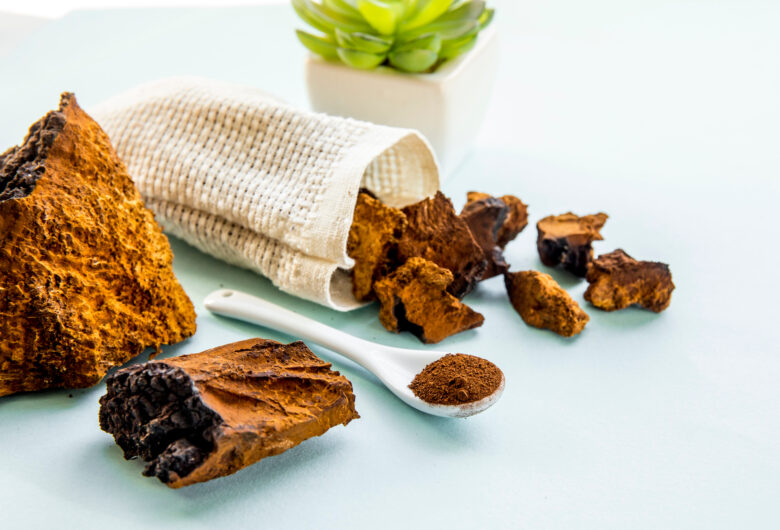 Health Food Chaga Mushroom